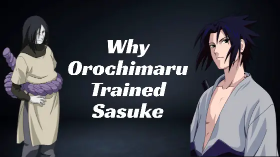 Why did Orochimaru Train Sasuke?