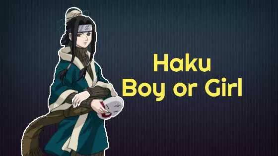 Is Haku a Boy or Girl